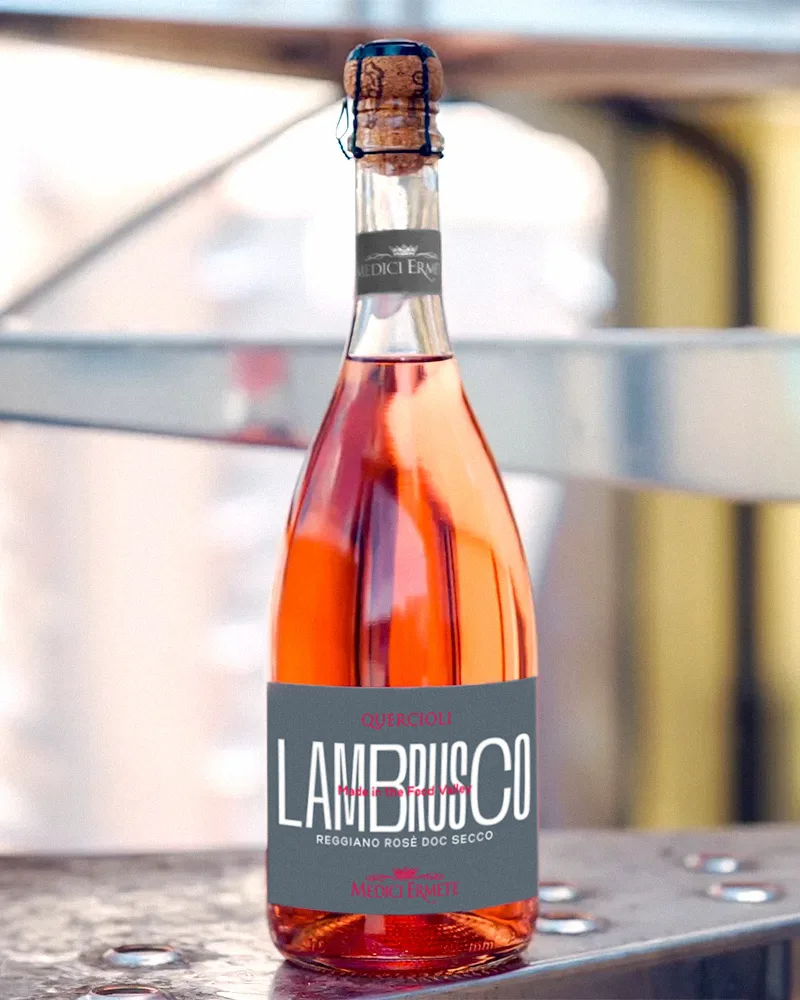 Lambrusco Reggiano DOC - Rosè Trocken