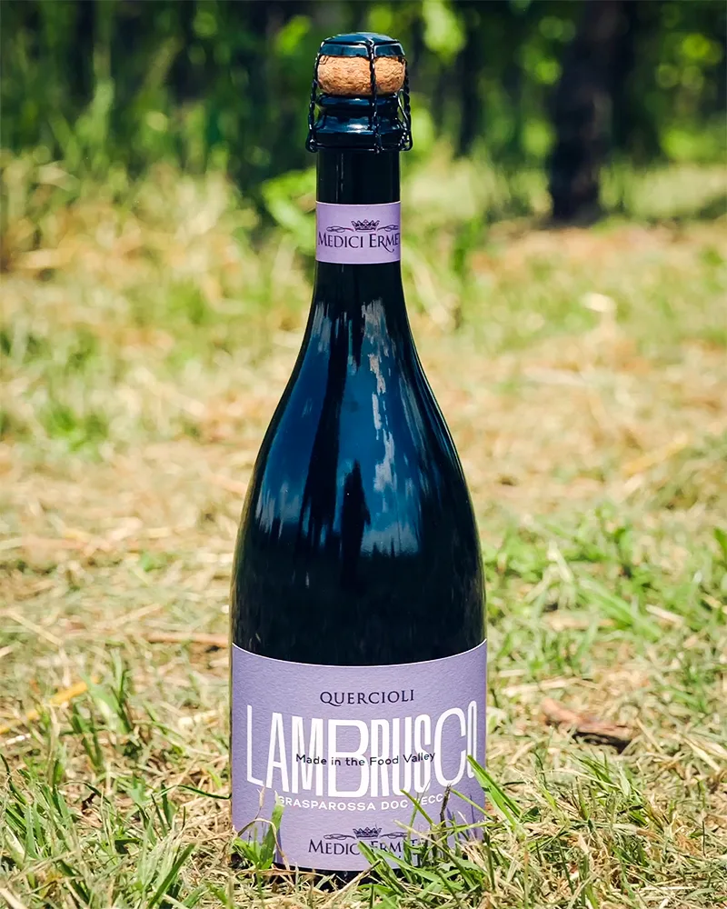 Lambrusco Grasparossa DOC - Trocken
