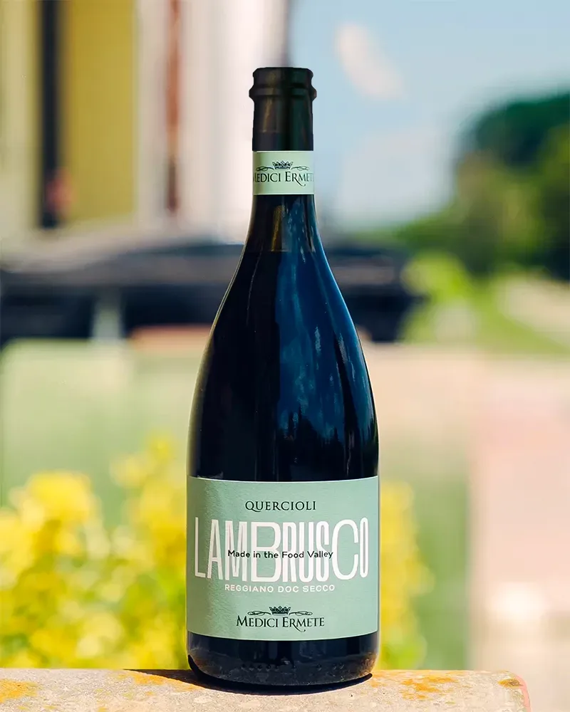 Lambrusco Reggiano DOC - Trocken