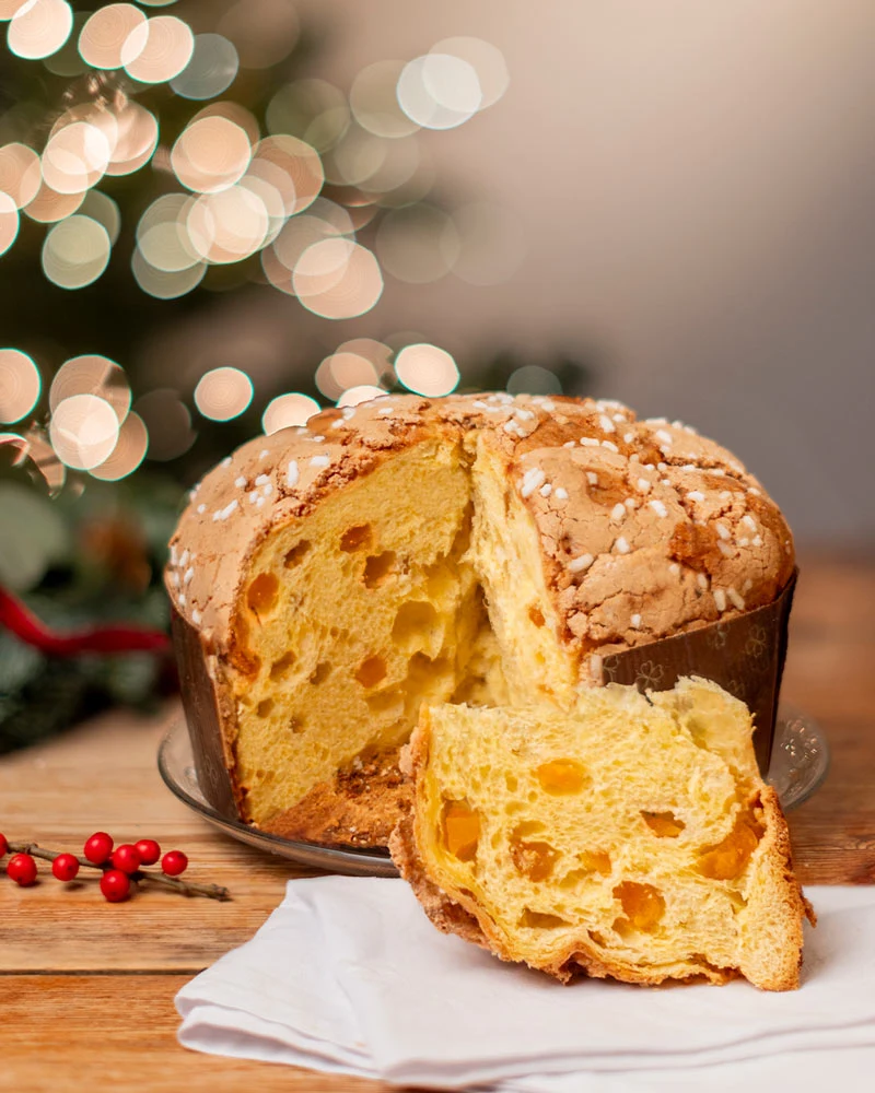 Panettone mit Aprikosen - im Geschenkkarton – ansprechend in Szene gesetzt