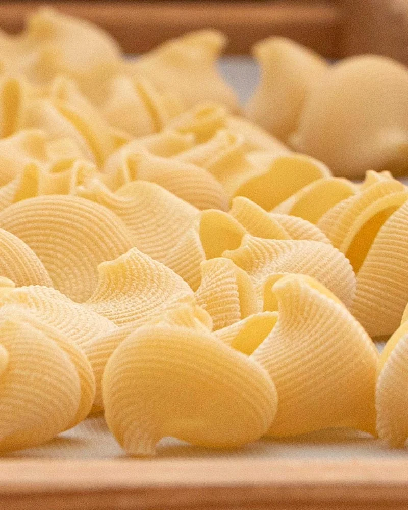 Conchiglioni  -Muschelnudeln – mit passenden Accessoires arrangiert